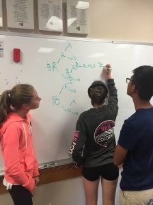 Photo Sep 18, 8 06 14 AM